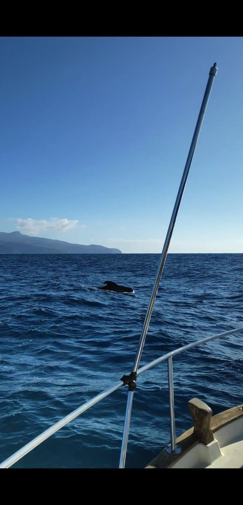 Excursiones Pura Vida