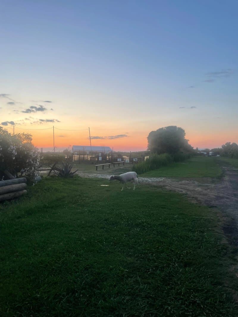 Camping Rio Martino