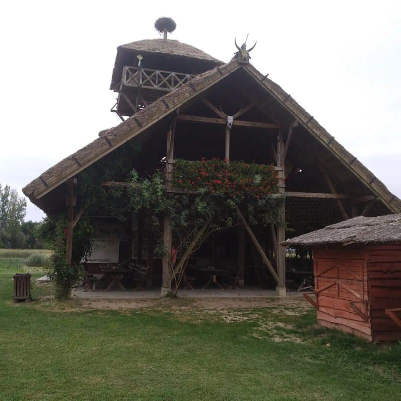 Camping Zasavica