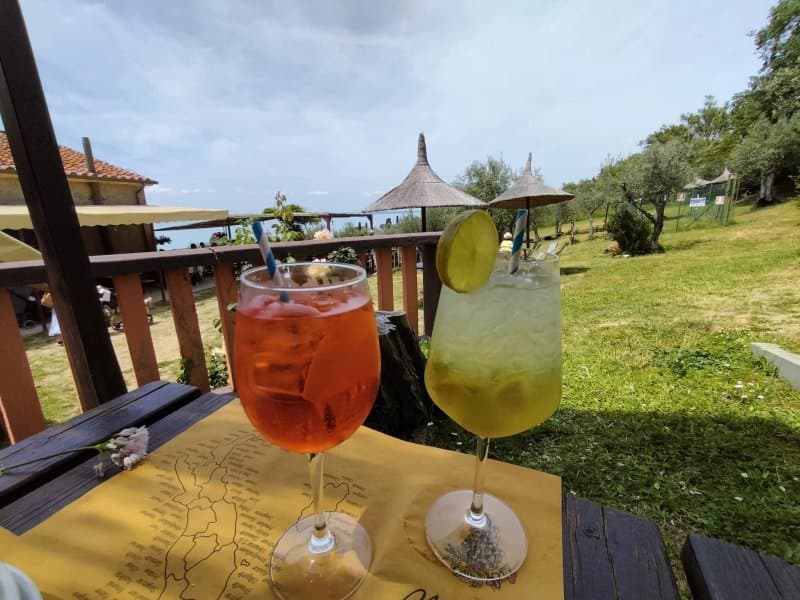 Fattoria il Poggio