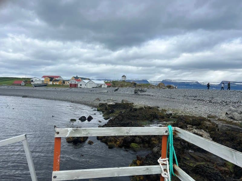 Vigur Island
