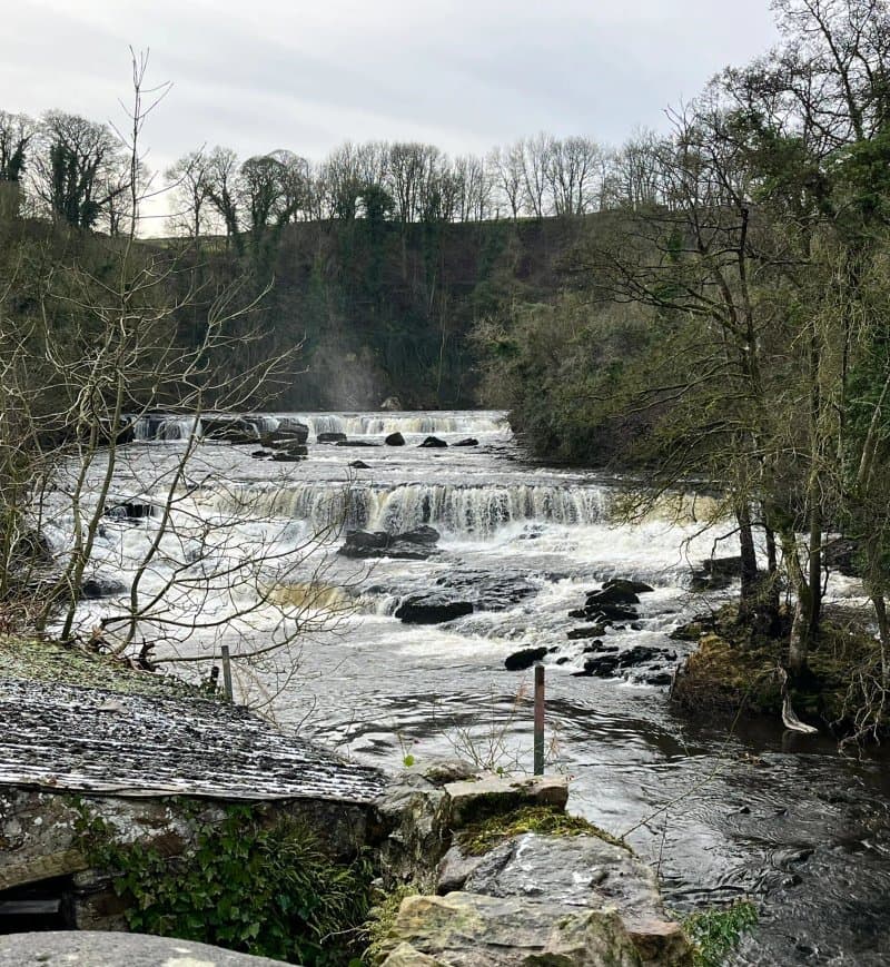 Aysgarth Lodge Holidays
