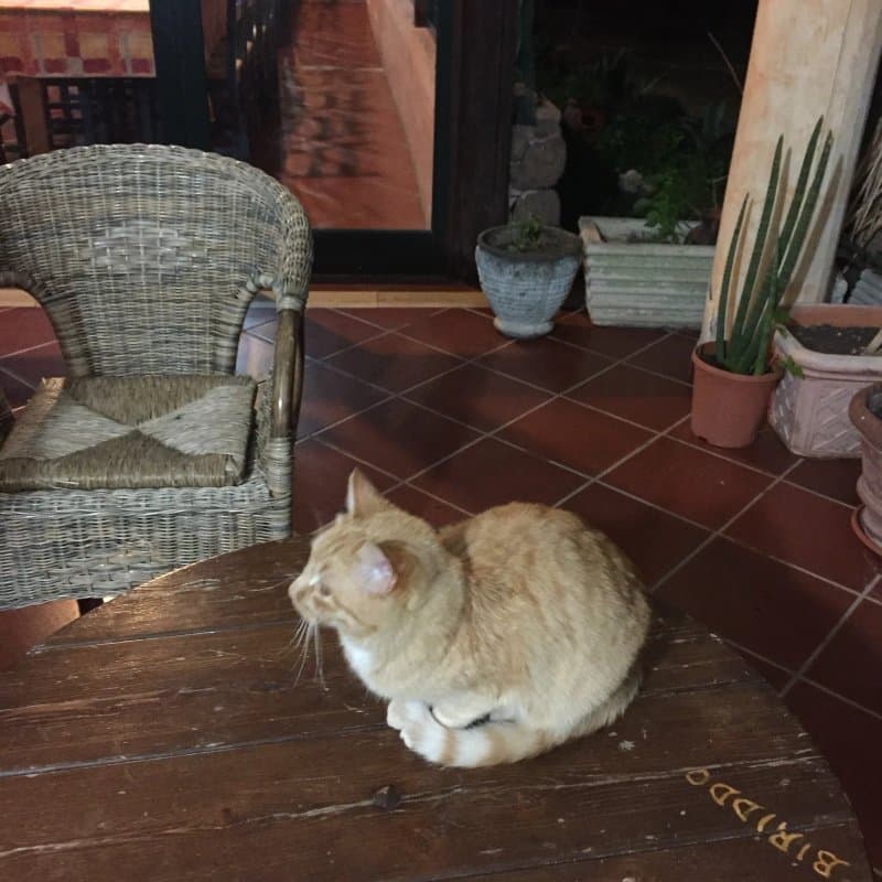 Agriturismo Biriddo