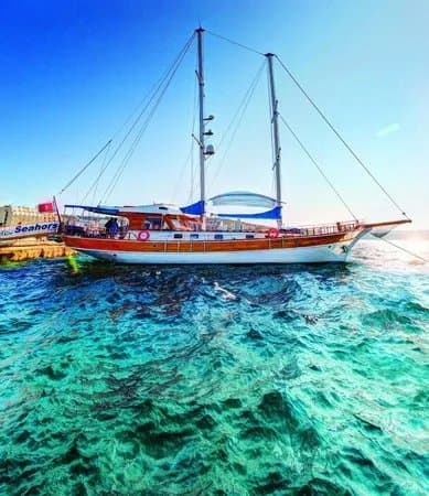Seahorse Cruises