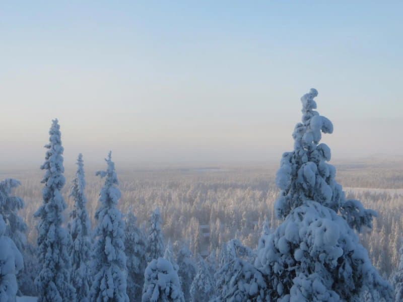 Ruka Suites