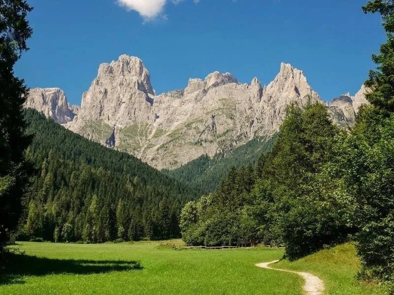 Parco Paneveggio - Pale di San Martino