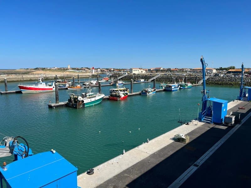 Port De La Cotinière