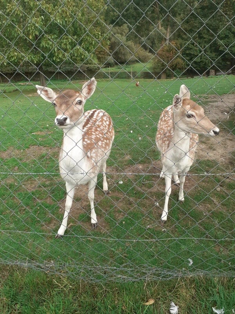 Recreatieboerderij Tergracht