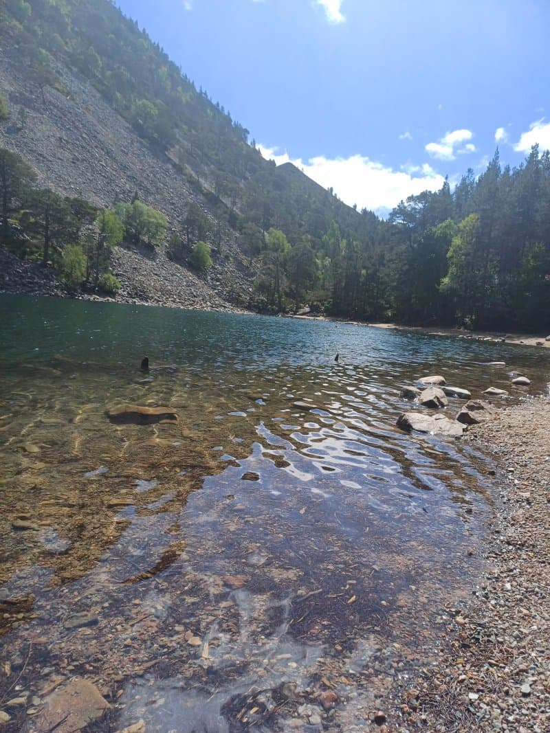 Glenmore Campsite