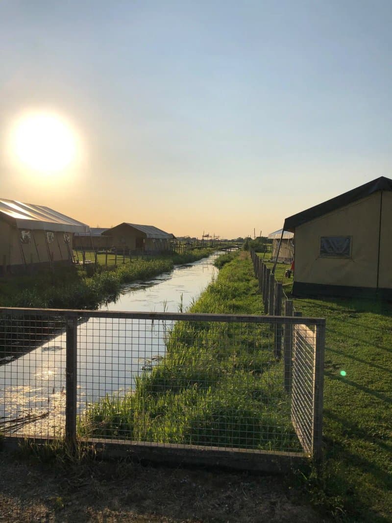 FarmCamps Stolkse Weide