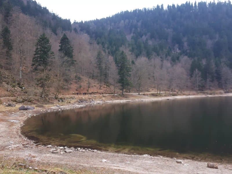 Le Lac des Corbeaux