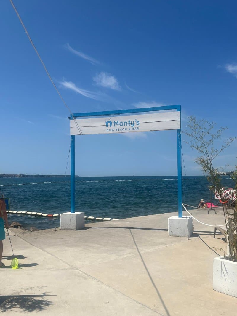 Monty's Dog Beach & Bar