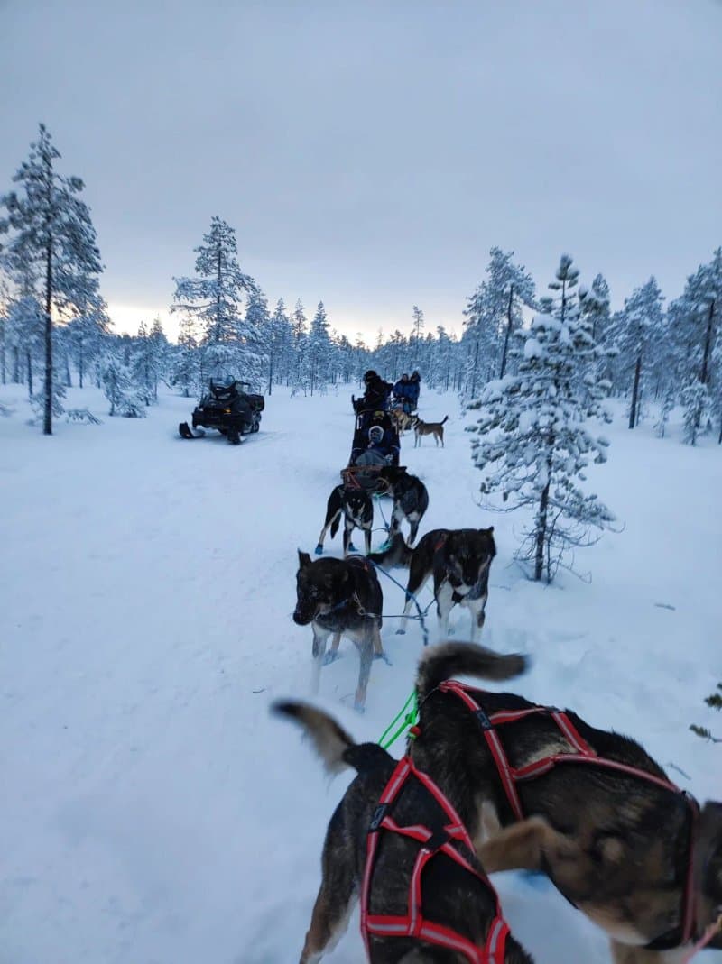 Loma-Vietonen Oy