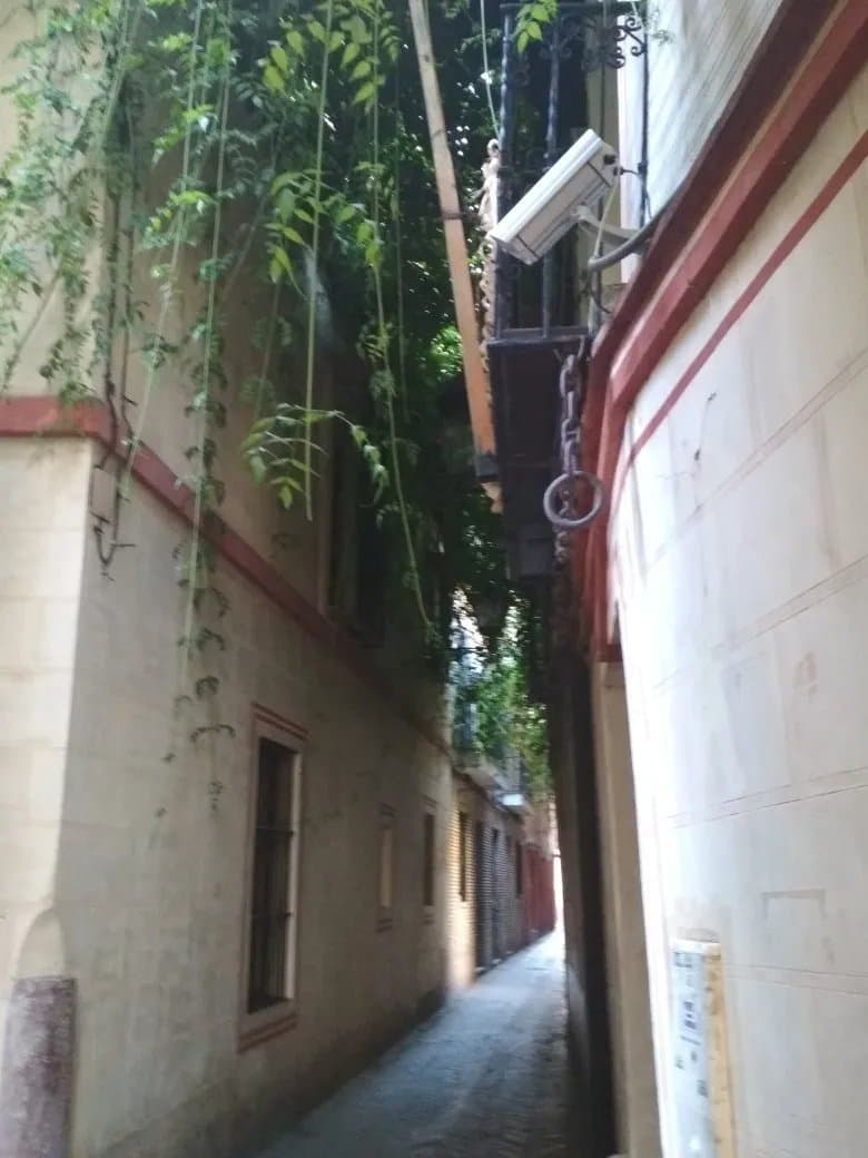 apie Experiencias Turisticas Guiadas