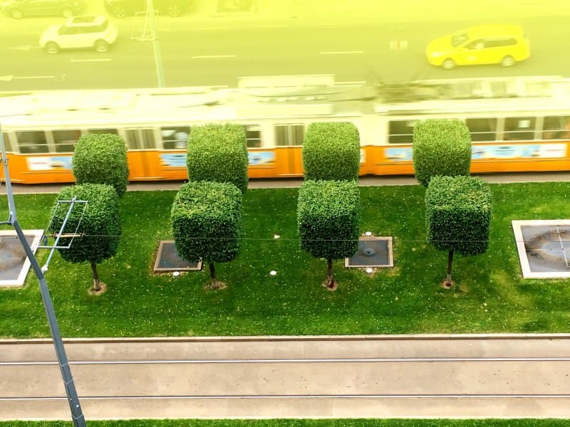 Downtown Oasis