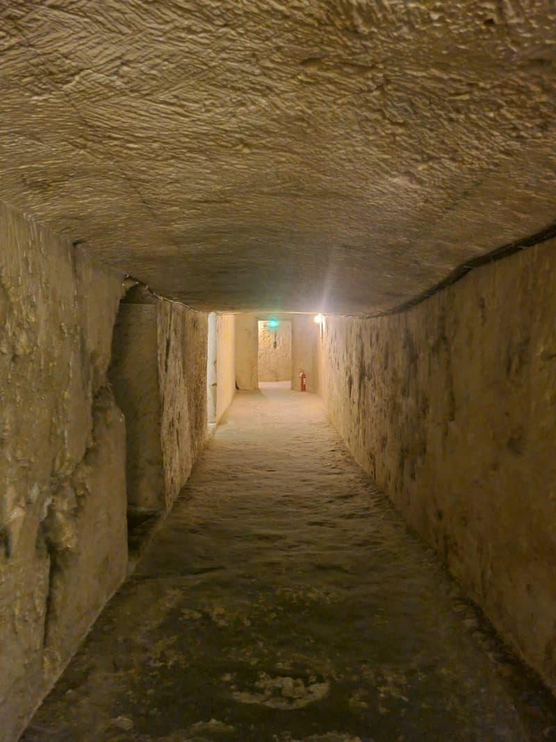 WWII Shelters