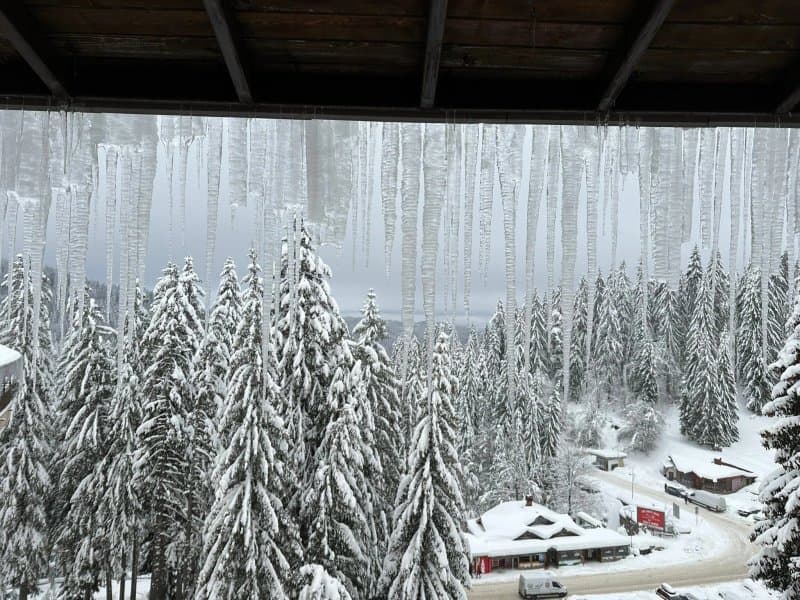 Hotel Orpheus Pamporovo