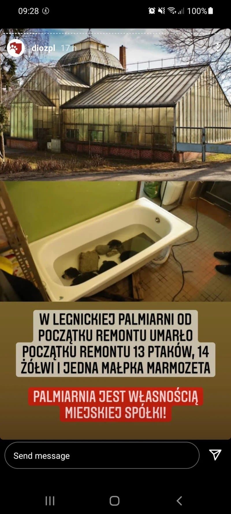 Legnicka Palmiarnia