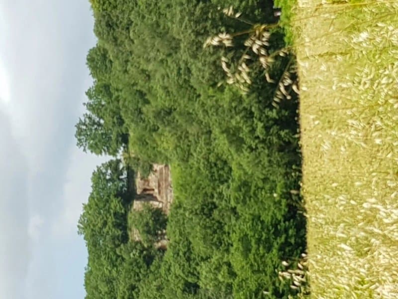 Parco Archeologico Citta del Tufo