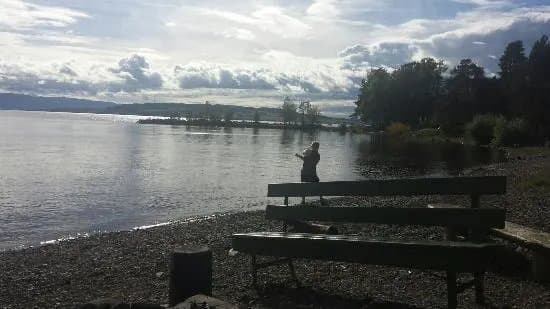 Koigen