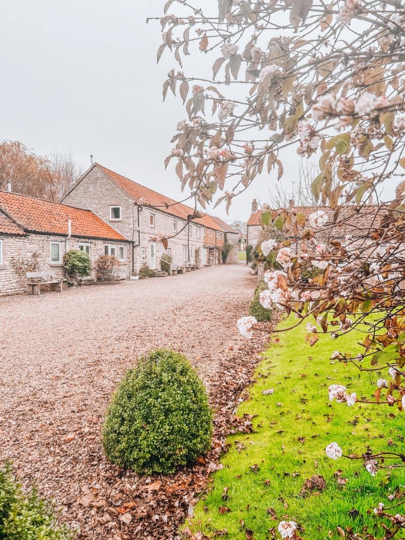 Beech Farm Cottages