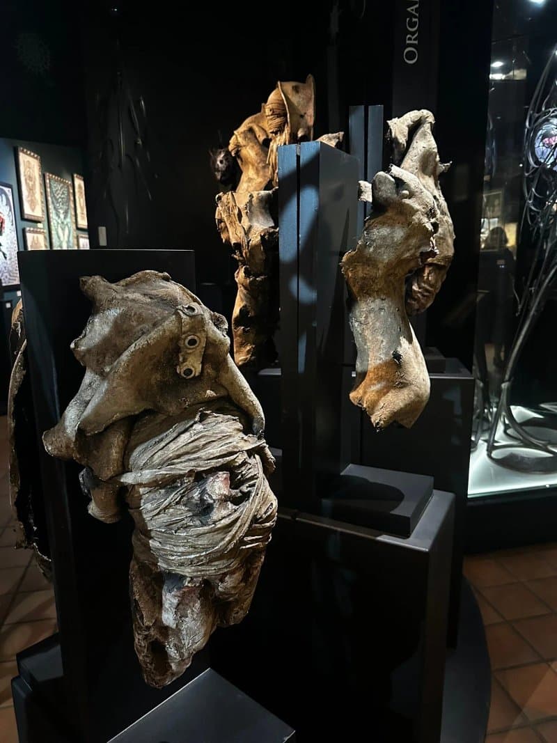 Naia Museum