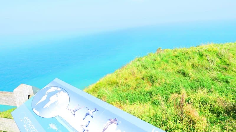 Cap Gris-Nez