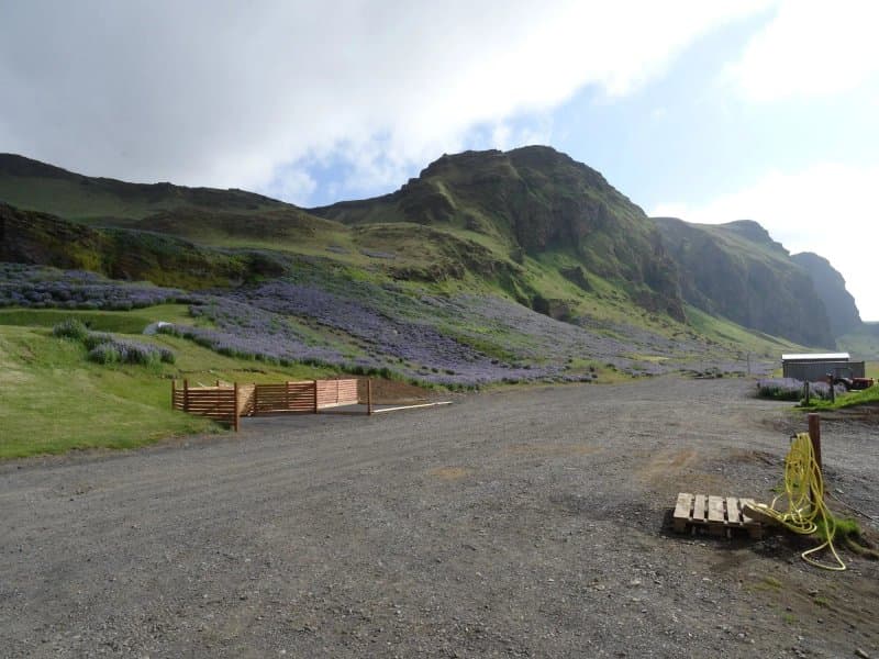 Campsite Vik