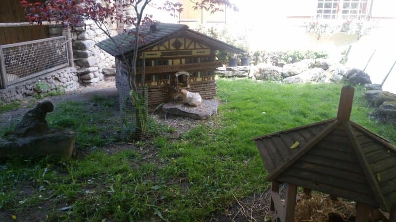 Haustierhof Reutemuhle