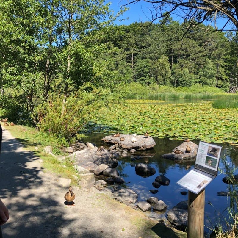 Mosvangen Camping Stavanger