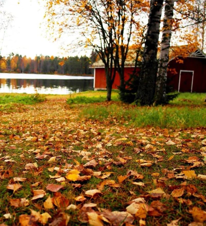 Sedu Ahtari Tuomarniemi