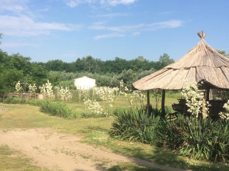 Homoki Lodge - Bed & Beyond Glamping