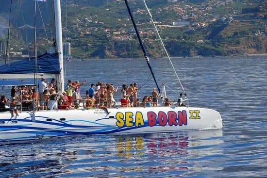 Seaborn Catamaran