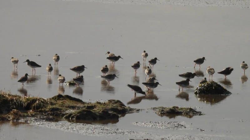 Spurn Discovery Centre