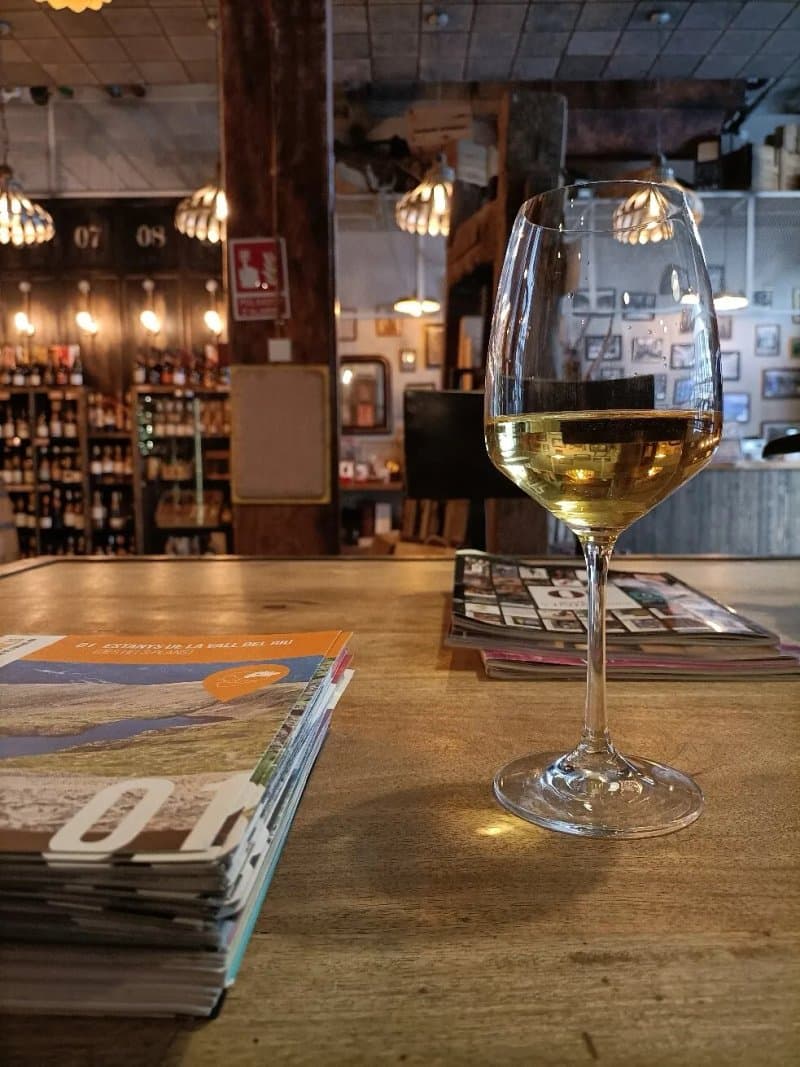 The Cellar Door