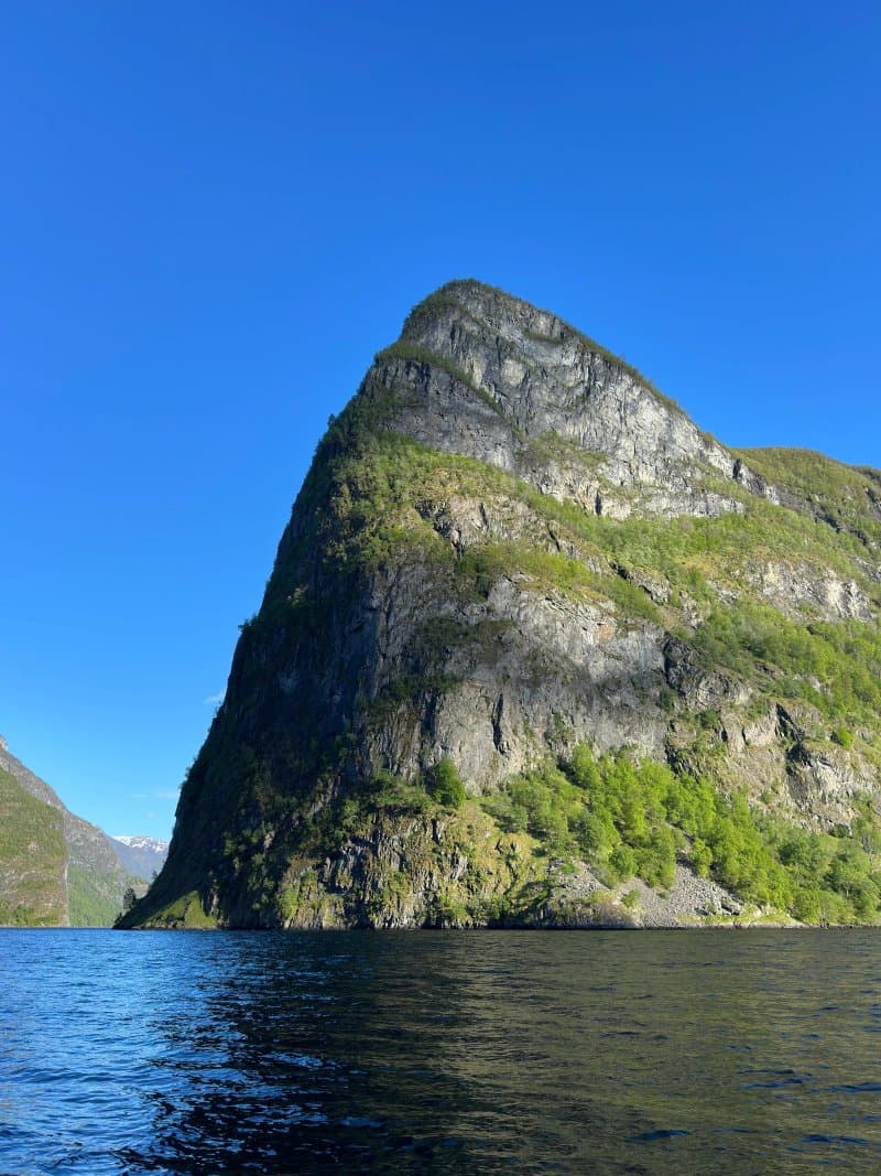FjordSafari