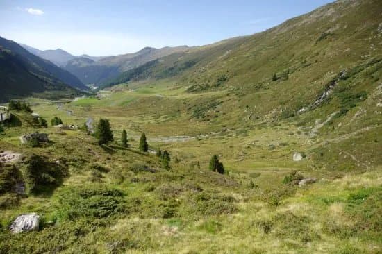 Fluelapass