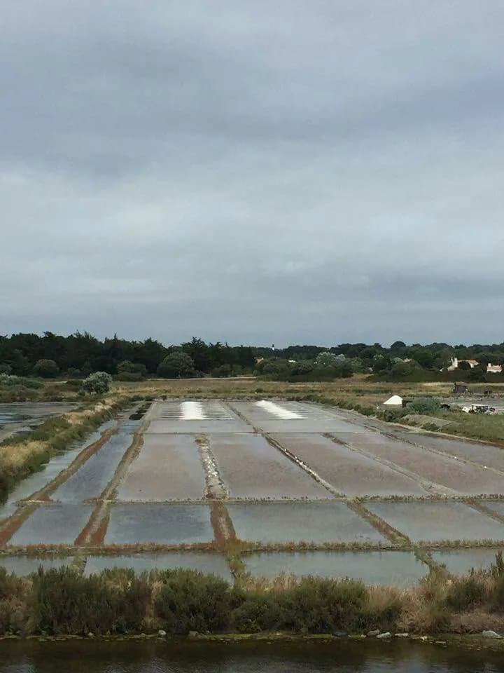 Marais du Mullembourg