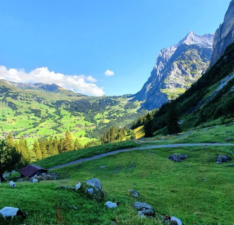 Pfingstegg