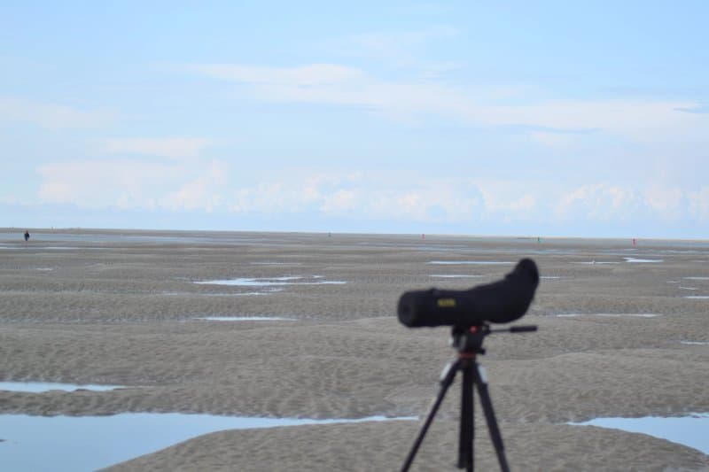 Rando-Nature en Somme