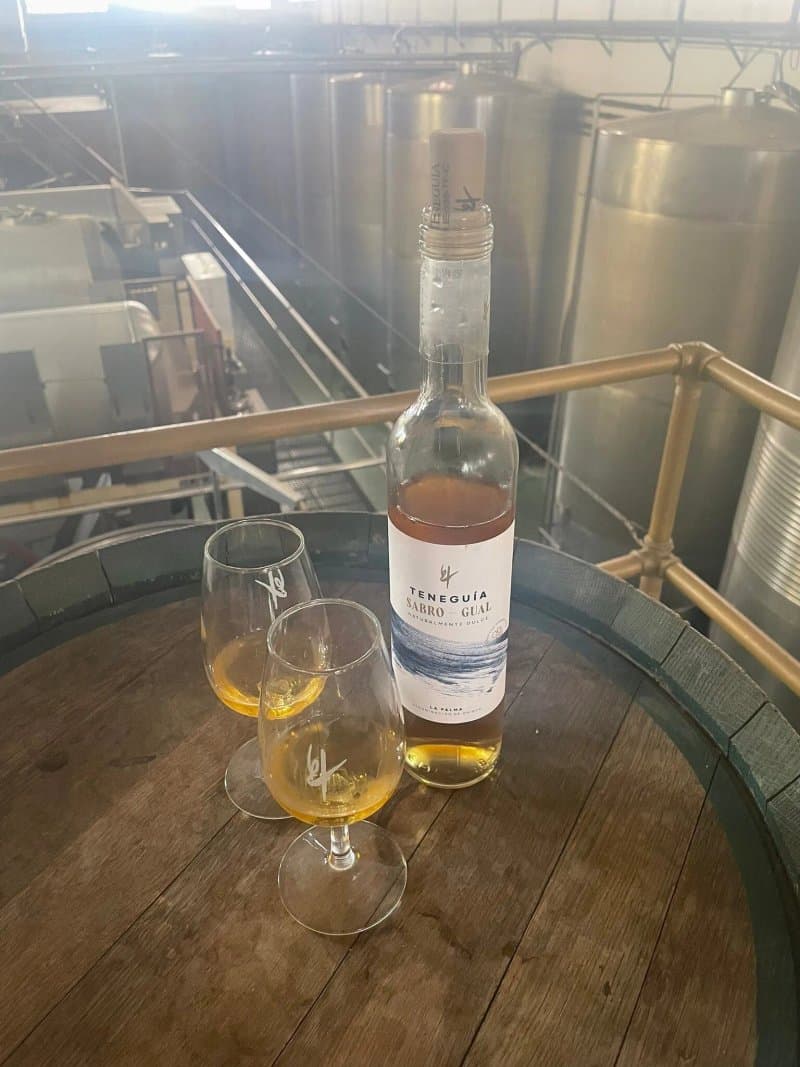 Bodegas Teneguia
