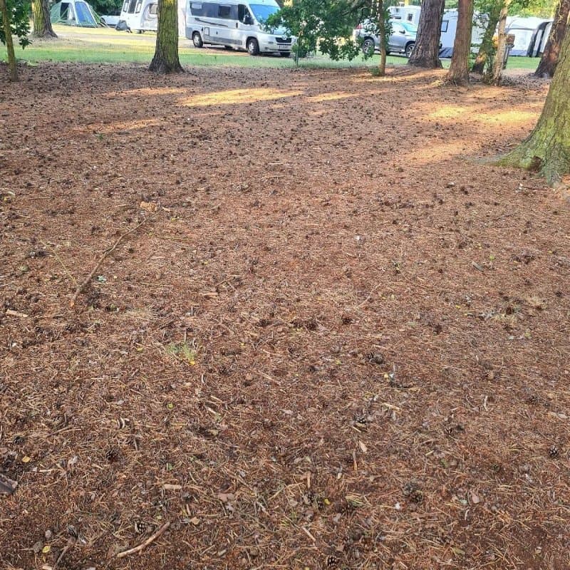 Sandringham Camping and Caravanning Club Site