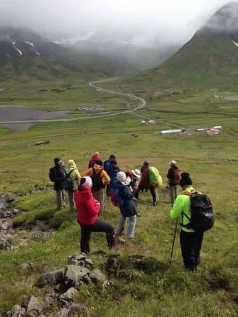 Top Mountaineering