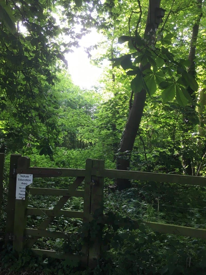 Whitlingham Broad Campsite
