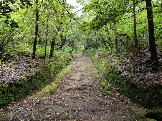 Levada Do Caldeirao Verde