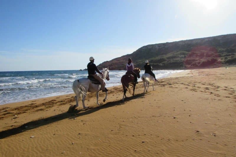 Lino's Stables