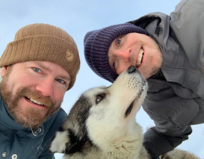 Dogsledding Iceland
