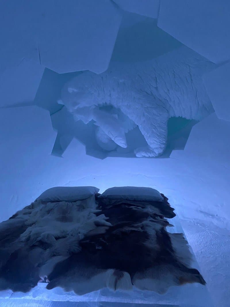 Tromso Ice Domes