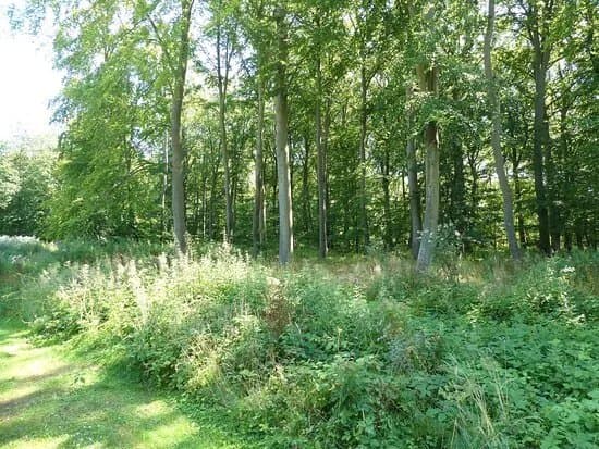 Aalholm Slotspark