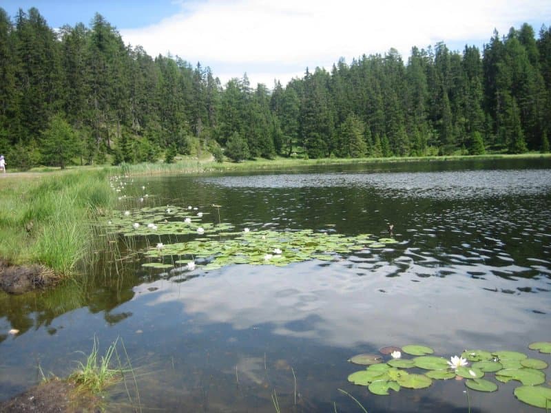 Schwarzer See